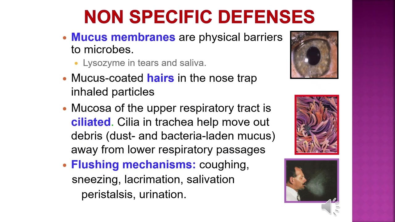 NURSING  18  INFECTION IMMUNITY NORMAL FLORA  DR  MUTHA