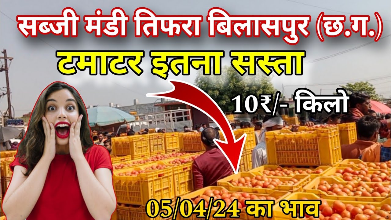 सबसे सस्ता टमाटर/sabji mandi tifra bilaspur cg || New video 2024