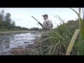 Северная утка пошла. Настрелял кучу мяса за час. Duck hunting in autumn.