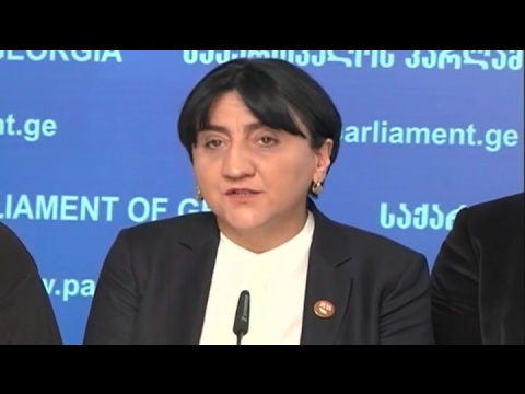 საქართველოს პარლამენტის ვიცესპიკერის ირმა ინაშვილის ბრიფინგი
