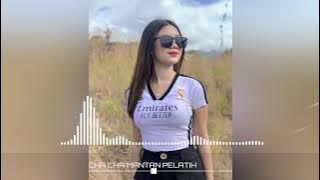 T.M.R - CHA CHA MANTAN PELATIH - (Remix 2024)