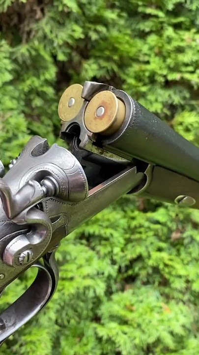Antique triple barrel hunting gun, Sauer Suhl pt.2