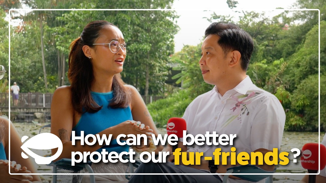 What is the government doing to better protect animals in Singapore? | Friendly Fire