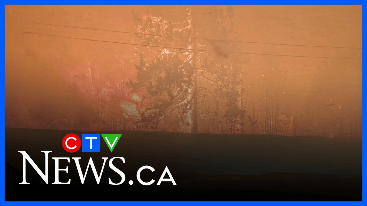 Fire destroys animal rehabilitation society