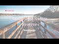 Discover the serene paradise of ashby ville nature reserve