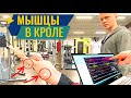 Какие Мышцы работают в плавании кролем?