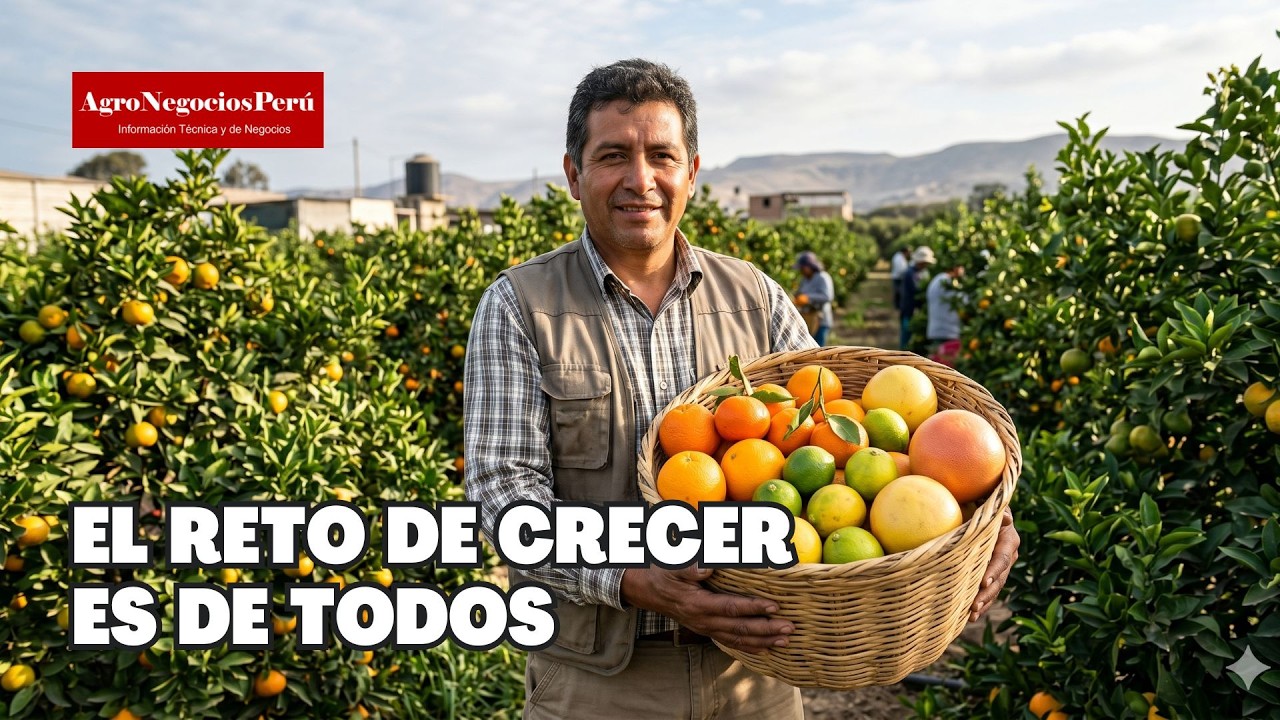 El reto de conquistar nuevos mercados también involucra a los pequeños productores