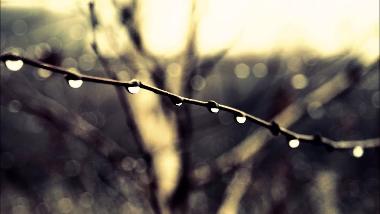 Watch Ferdy & Daniel van der Zwaag - Raindrops (LoQuai Remix) on YouTube Watch Ferdy & Daniel van der Zwaag - Raindrops (LoQuai Remix) on YouTube