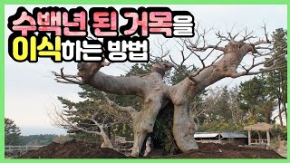 유튜브 역사상 최대(?) 공사일겁니다