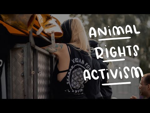 Como se envolver no ativismo pelos direitos animais