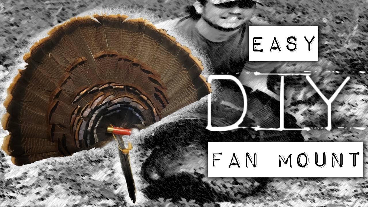 DIY TURKEY FAN MOUNT [ Hunt Process Create ] YouTube