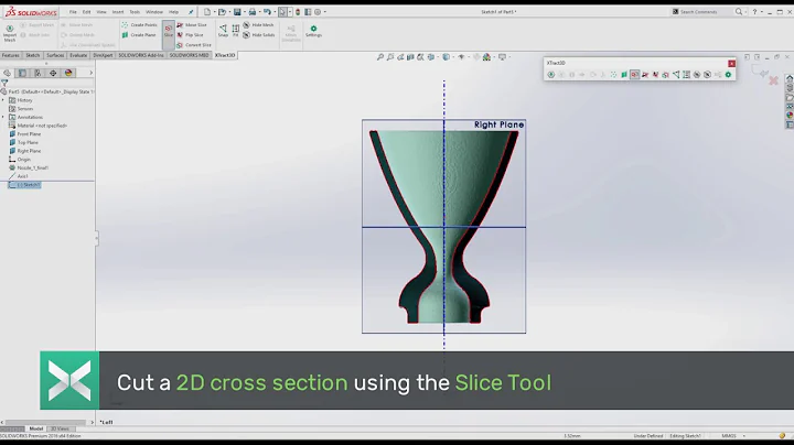 XTract3D Workflow (Step 3): Create cross section