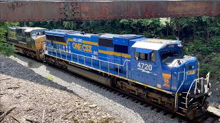 I Finally Caught CSX "We Are One" Locomotive!  Short Version, JawTooth #Shorts