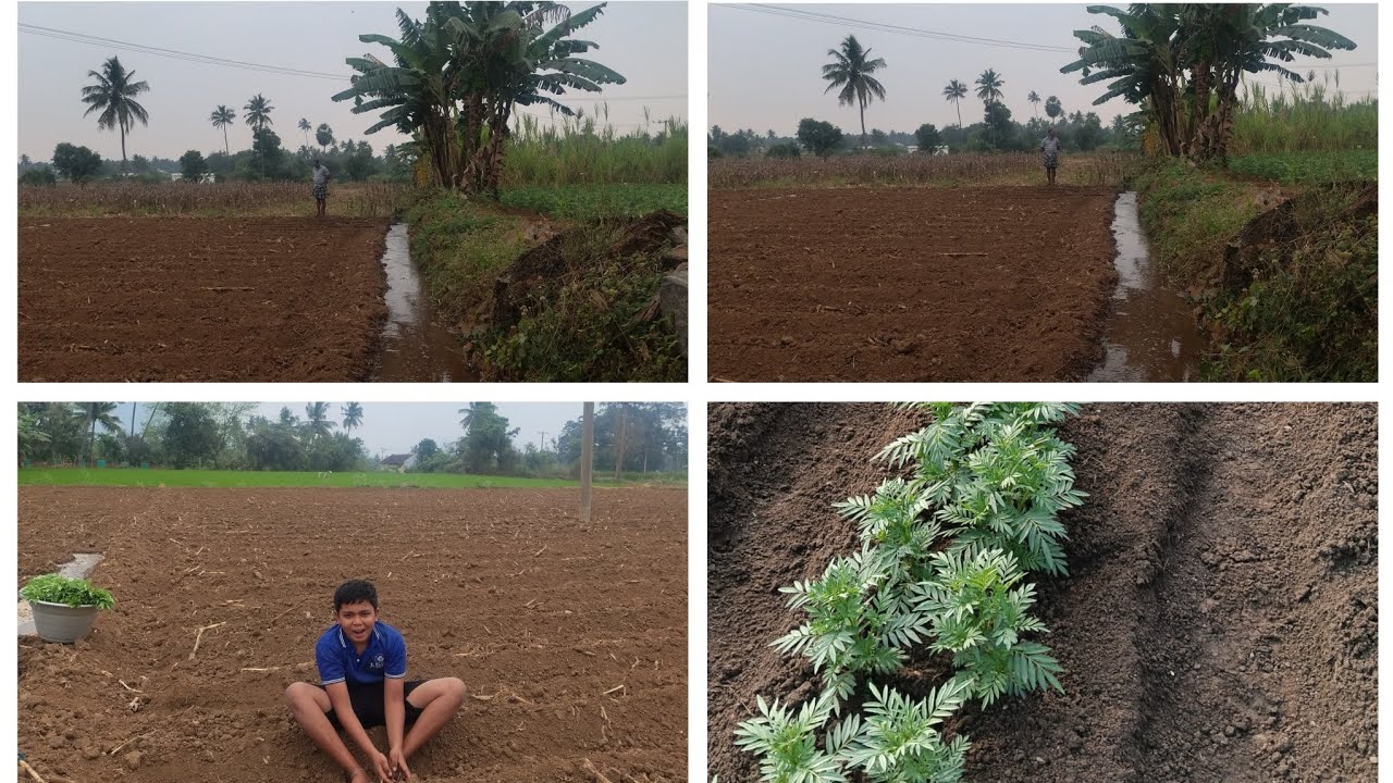 🎊🎉 பக்கெட் தண்ணியில மிதந்து வருது🎊🎉