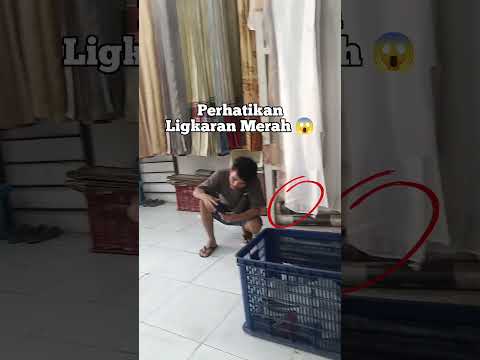 perhatikan lingkaran merah #fbreels #fbreelsvideo #viralvideo #fyp #fypシ゚viral