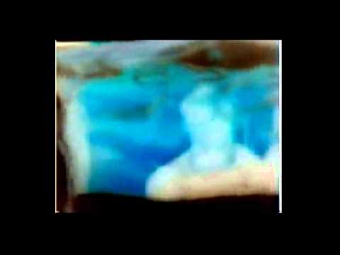harvey danger - flagpole sitta