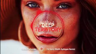 Nando Fortunato - I'm Sorry (Melih Aydogan Remix) Resimi