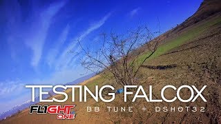 Testing FalcoX