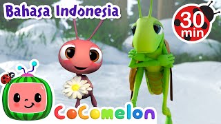 Semut dan Belalang di Musim Dingin❄| CoComelon Bahasa Indonesia  Lagu Anak Anak | Nursery Rhymes