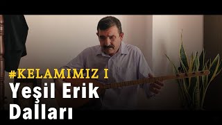 Nurettin Rençber - Yeşil Erik Dalları Resimi