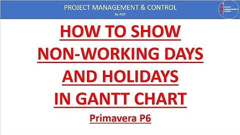 How to show Non Working Days & Holidays in Primavera P6