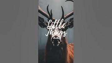 Thumbnail of Little Things - Adrián Berenguer (Classical Cinematic Music)