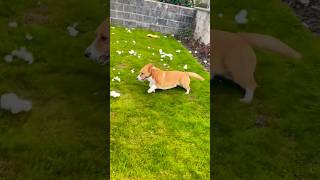 She Went Abit Mad Aftershes Never Seen Teddy Inners Before