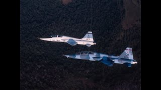 Famous T-38 Introduction to Fighter Fundamentals...OB-1 Wealth