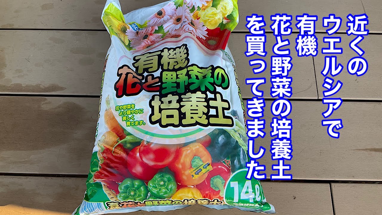 近くのウエルシアで有機花と野菜の培養土を買ってきました Youtube