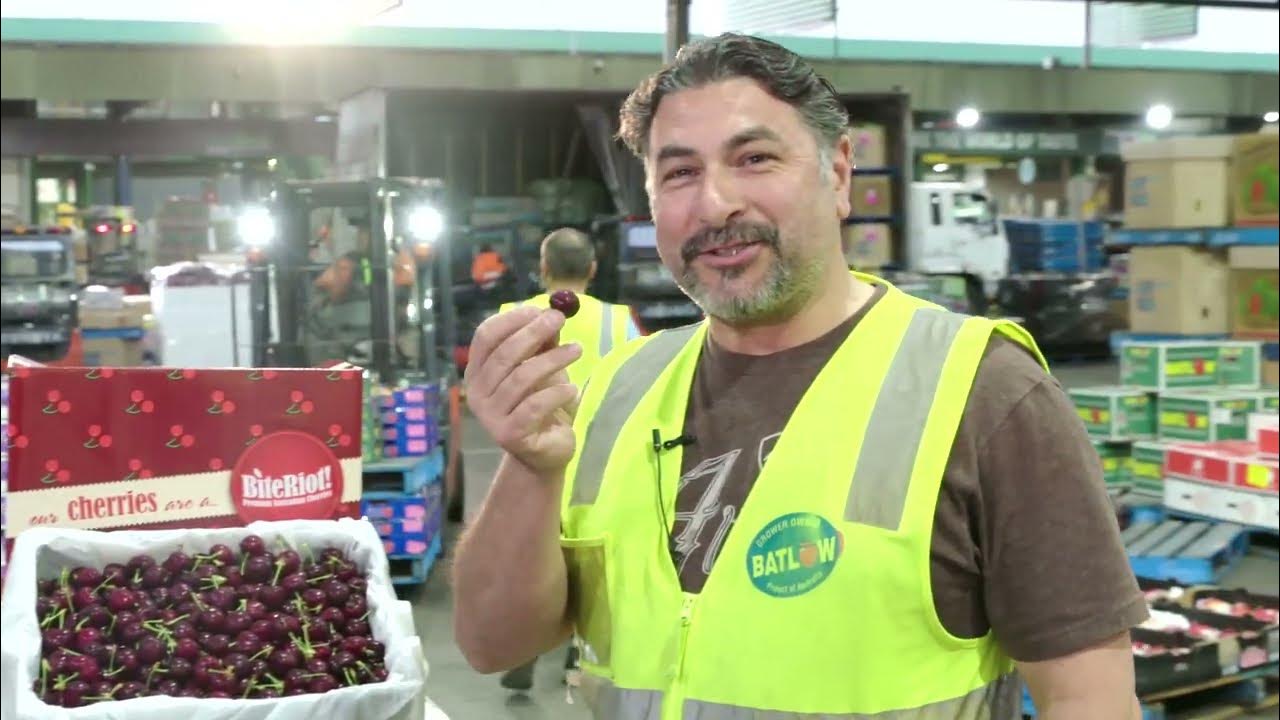 Cherry Selection for the 2023 Cherry Auction with SML CEO Brad Latham