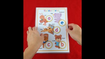 ALPHABET, BUSY BOOK, QUIET BOOK, MATCHING MONTESSORI TODDLER EARLY LEARNING PRE-SCHOOL TOY KIDS