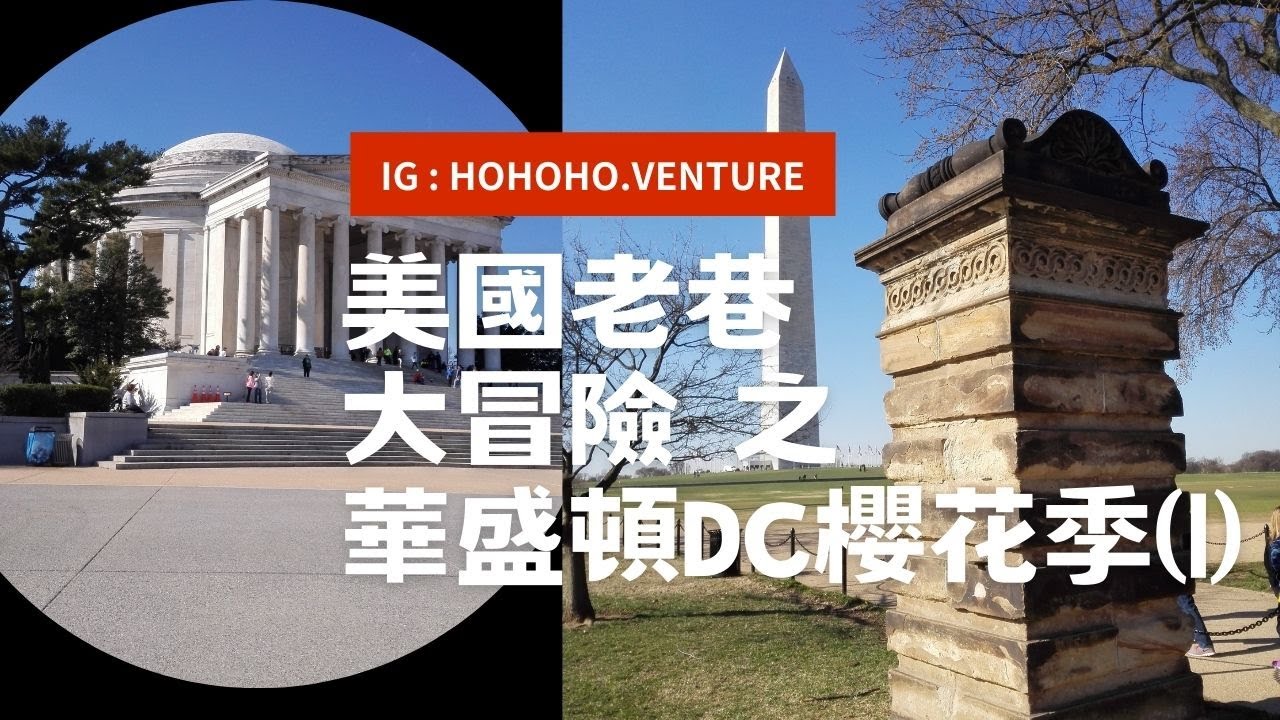 《台灣人美洲大陸自由行》華盛頓🇺🇸DC櫻花季(1) 🌸