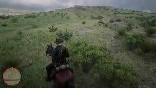 Sad Random Animal Event in Red Dead Redemption 2 screenshot 2