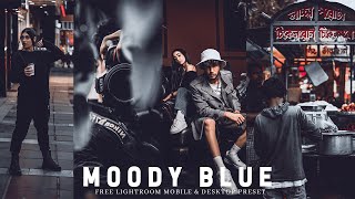 Moody Blue Lightroom Preset |  Lightroom Free Preset Download XMP & DNG | Dark Preset