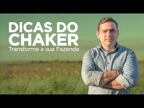 A FÓRMULA DO FATURAMENTO IDEAL DA FAZENDA NÃO ACEITA A PALAVRA “DEPENDE”