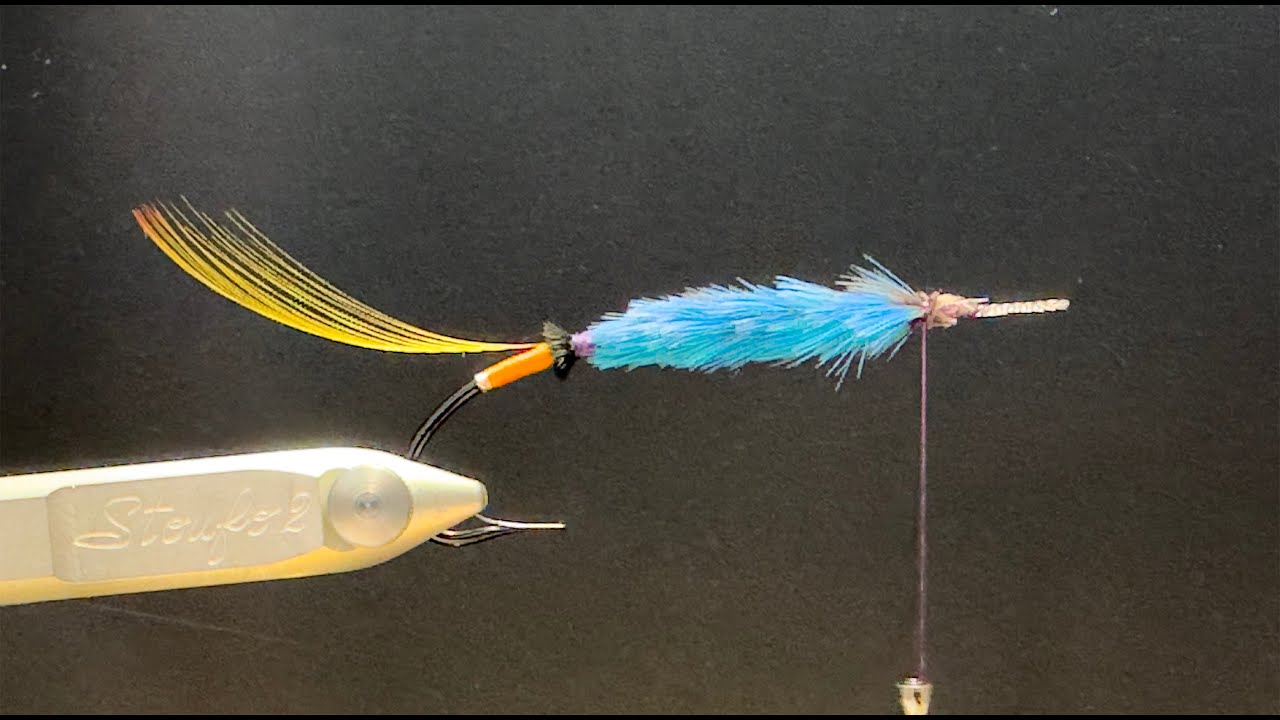 Live fly Tying, Tying the Traherne pattern Chatterer with Jonas ...