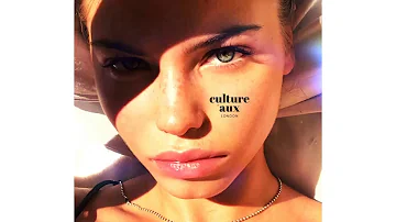 Drake - Nothings Into Somethings (culture aux remix)