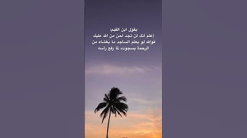 #سورة_التوبة #em_lyooy #ماهر_المعيقلي #اكسبلور #تابعوني #لايك #ترند