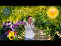 Seasons of Change: Exploring Earth's Cycle Through Weather and Life