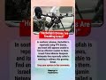 Hezbollah’s Deadly Drone Strategy Shocks Israel | Viral Middle East Crisis #trendingnow #geopolitics