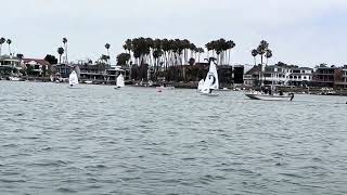 IMG 8682 IMG 8682