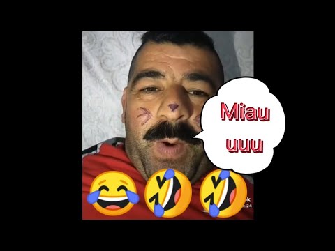 😂😂Miau🤣🤣 gülmekden öldüren video harun memmedov heyvanların ic sesi gulmeli prikollar 2021 gulmeli