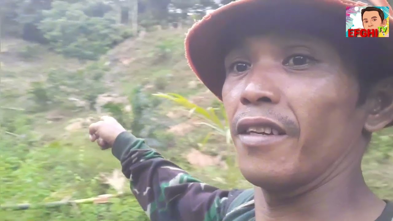 Nasib uhang puladang, jgn nak pueh dibuladang !!!