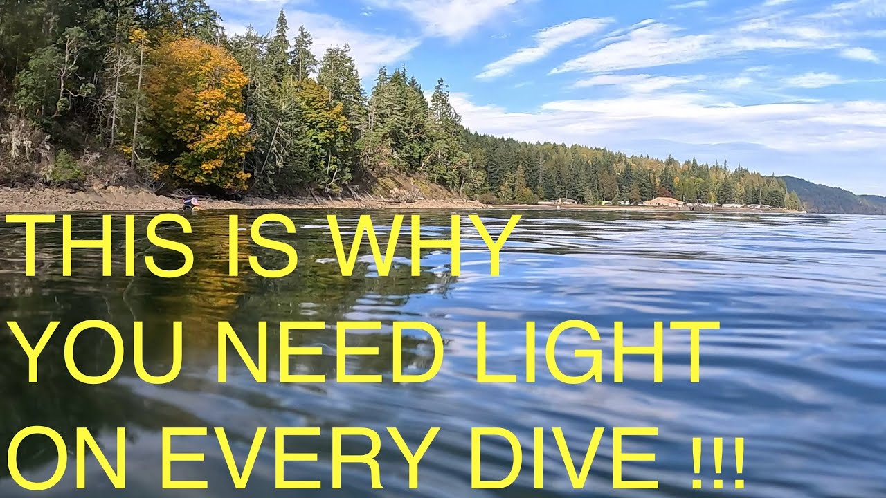 Oct ‘23 Hoodsport Sund Rock Reef Dive Scuba YouTube