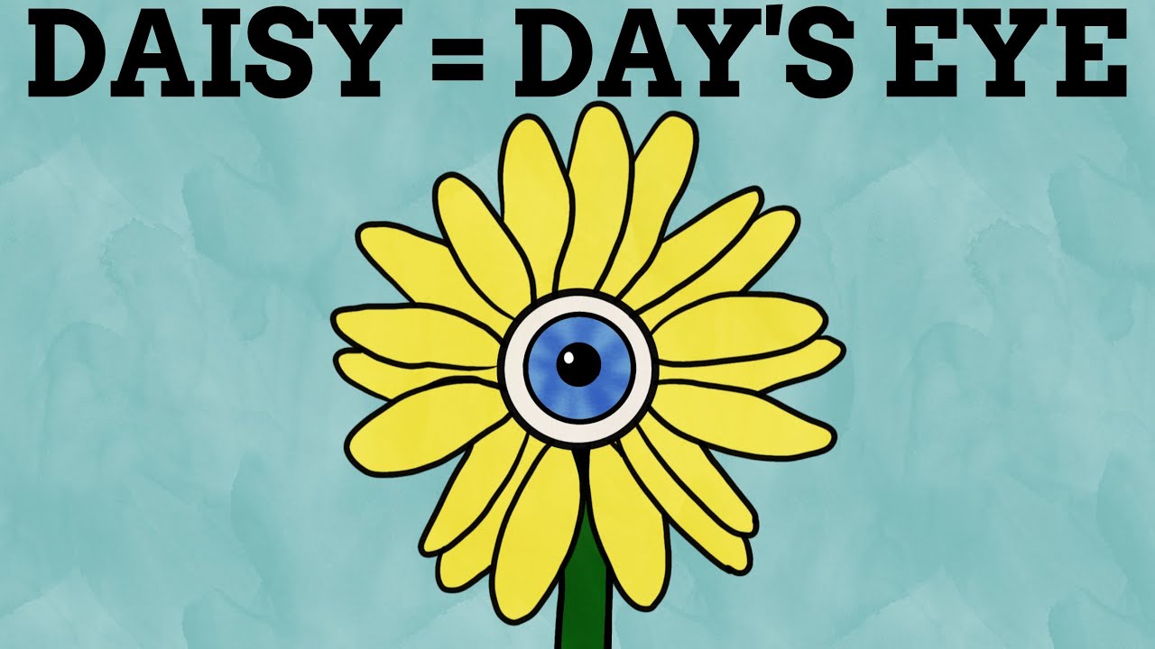 The Names Of Flowers Explained