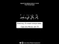 Сура 67 Аль-Мульк | Аяты с 1 по 30 чтец Ризгар Курди
