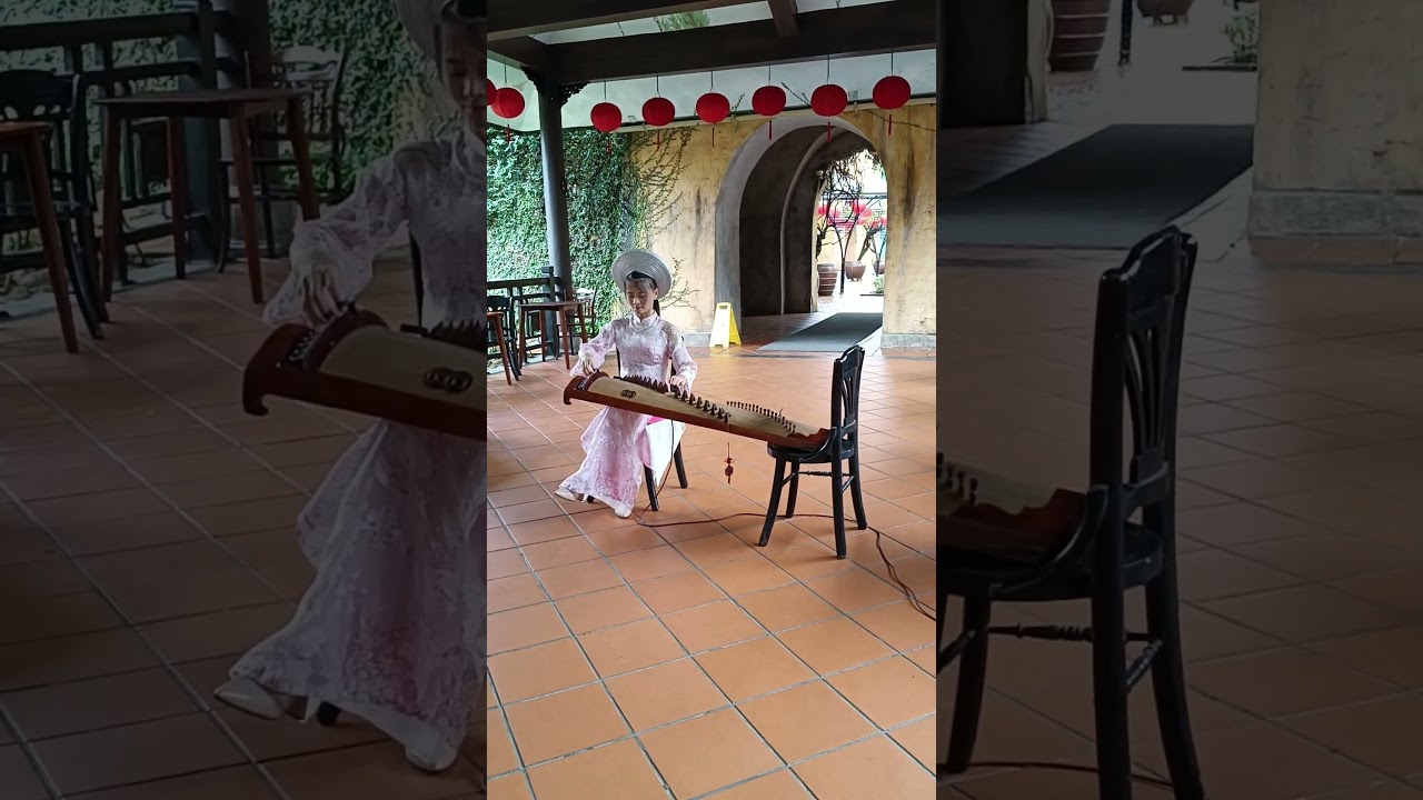 Traditional Vietnamese Music Performance on Đàn Tranh