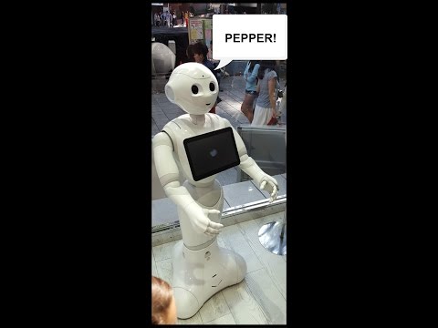 Pepper the Japanese Robot