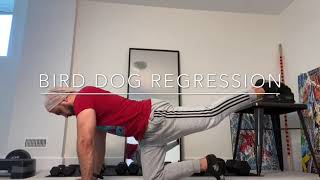 bird dog regression