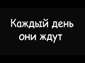 Заберите своё пушистое чудо